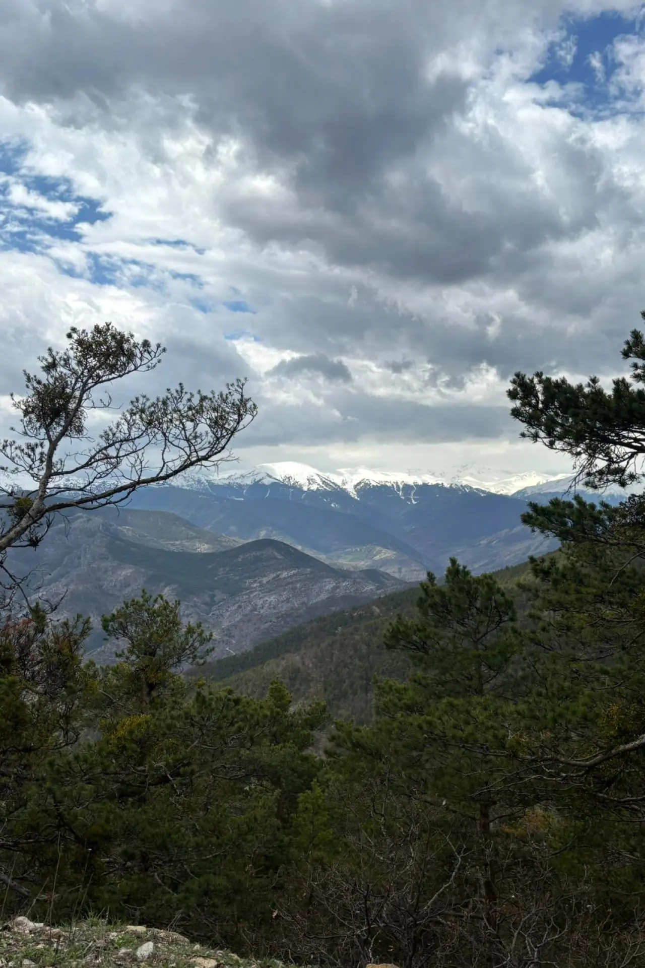Godanas Ormanlarını 14 kilometre yürüyerek aştılar! 14