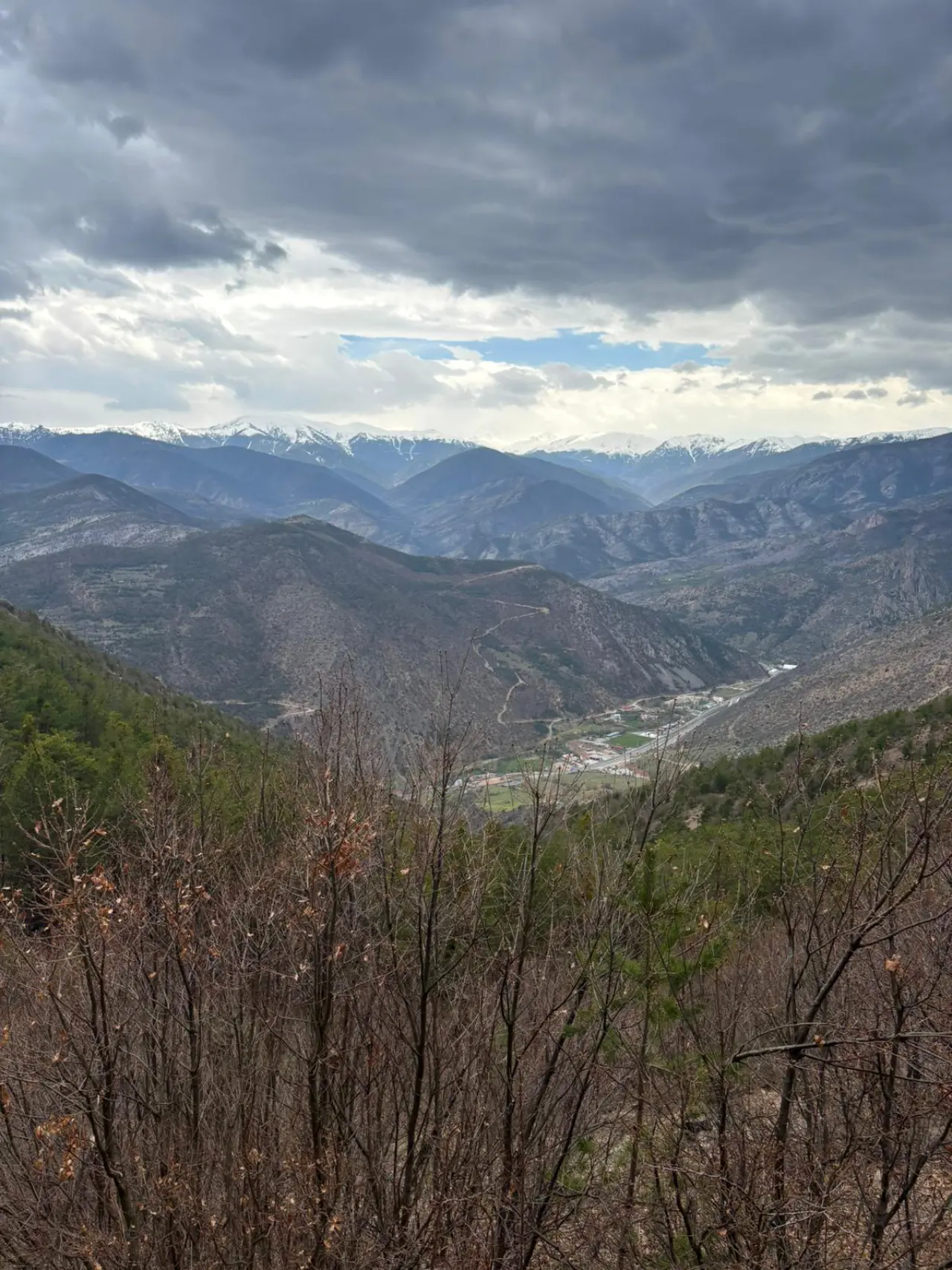 Godanas Ormanlarını 14 kilometre yürüyerek aştılar! 12