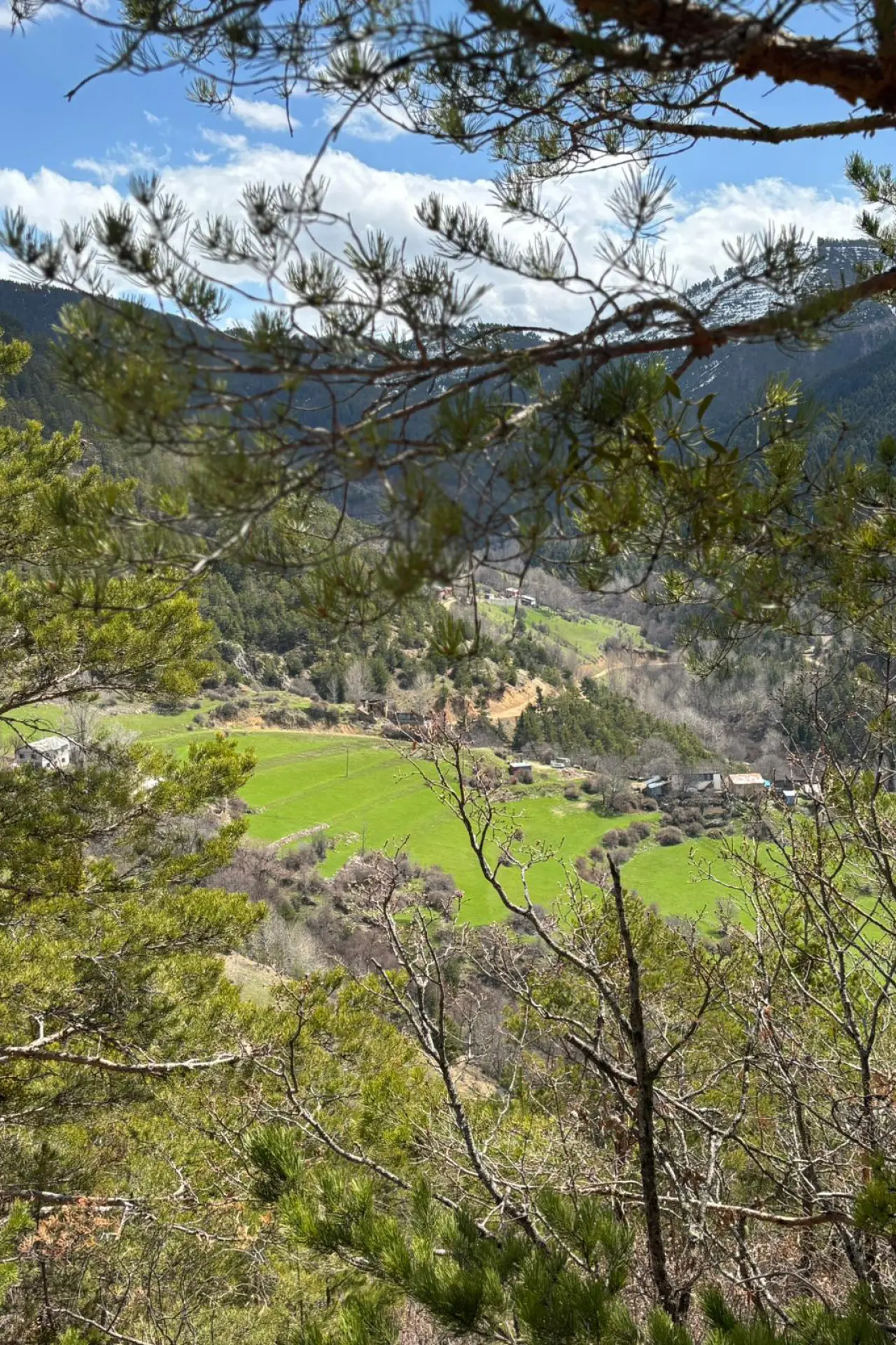 Godanas Ormanlarını 14 kilometre yürüyerek aştılar! 17