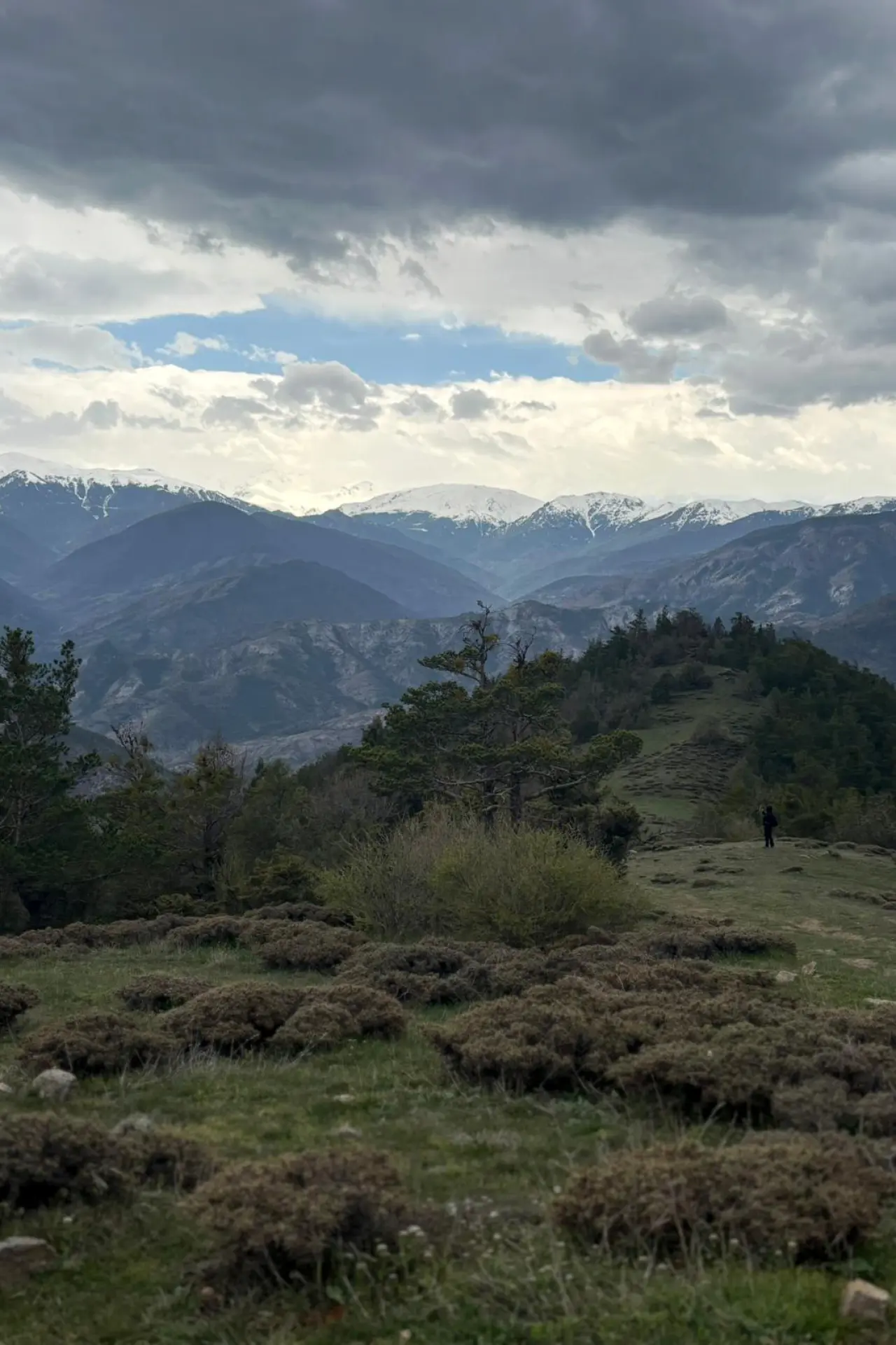 Godanas Ormanlarını 14 kilometre yürüyerek aştılar! 10