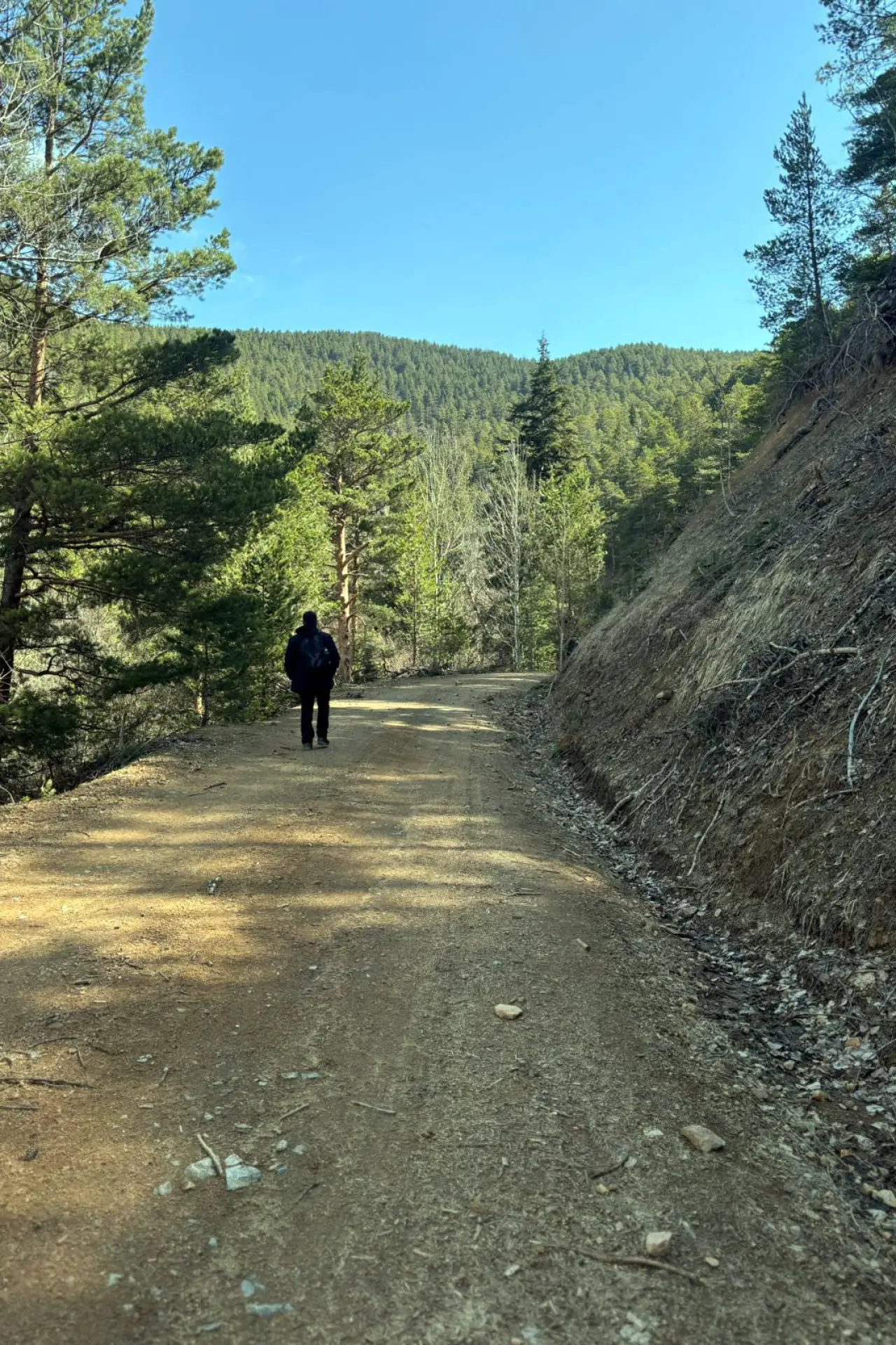 Godanas Ormanlarını 14 kilometre yürüyerek aştılar! 22