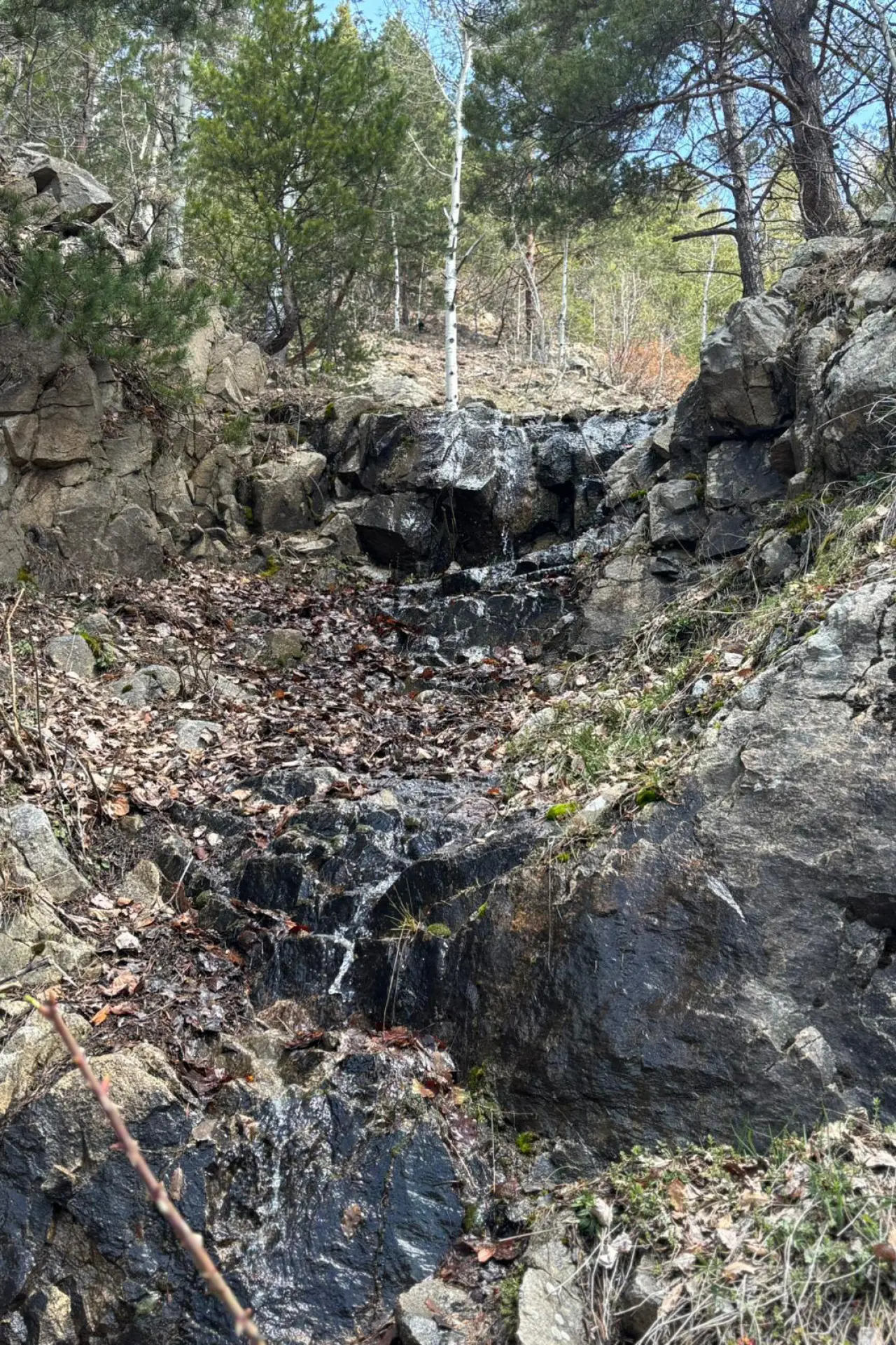 Godanas Ormanlarını 14 kilometre yürüyerek aştılar! 20
