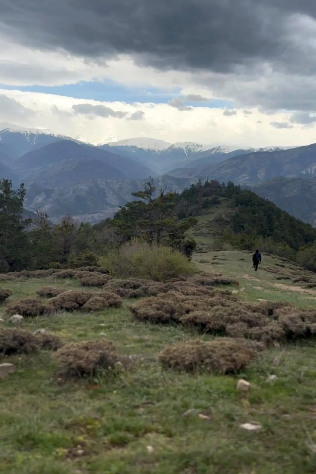 Godanas Ormanlarını 14 kilometre yürüyerek aştılar! 3