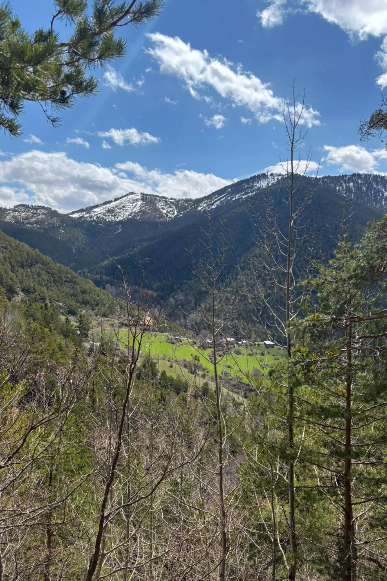 Godanas Ormanlarını 14 kilometre yürüyerek aştılar! 15
