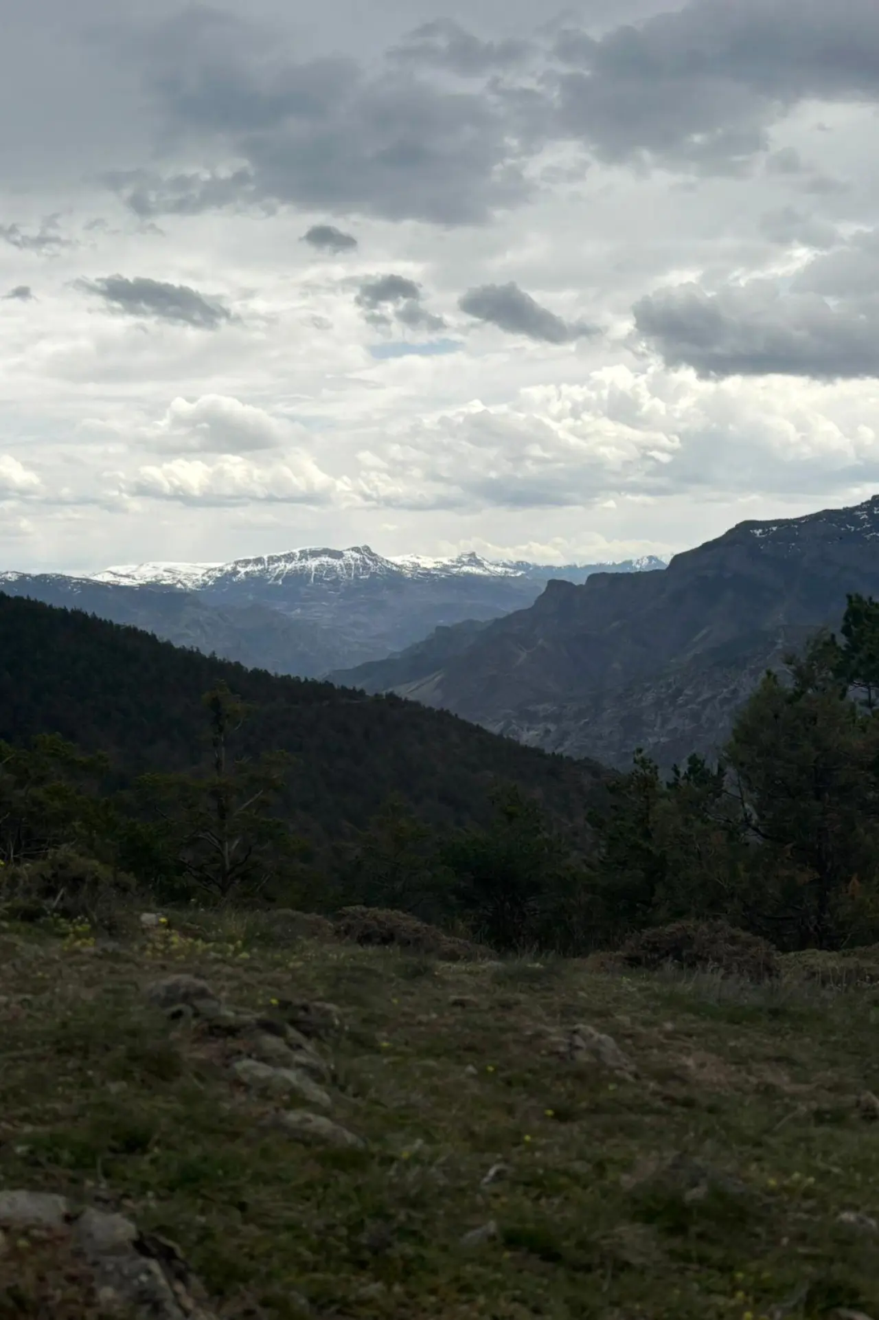 Godanas Ormanlarını 14 kilometre yürüyerek aştılar! 9
