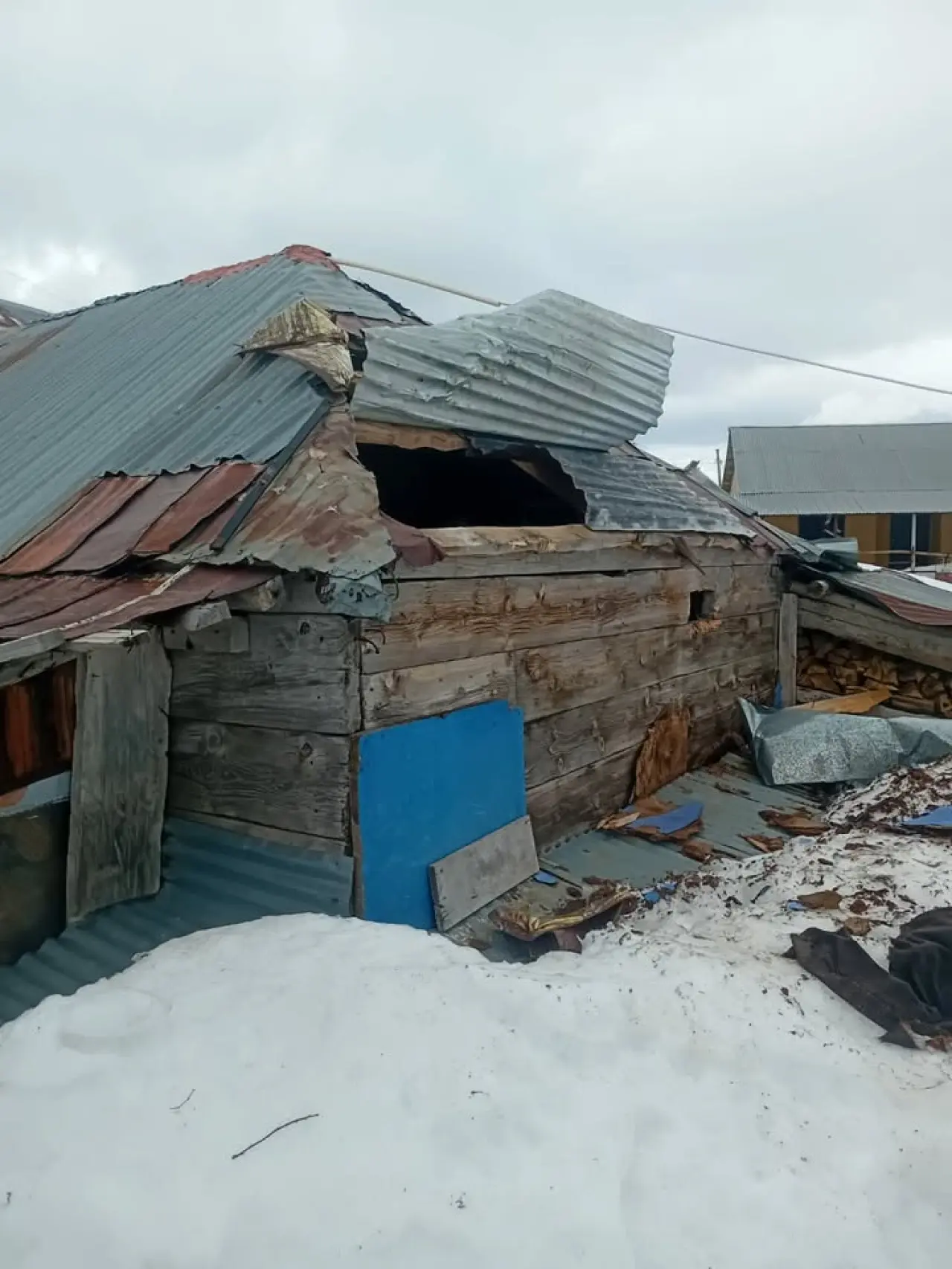 Gümüşhane yaylarında ayı dehşeti devam ediyor 5