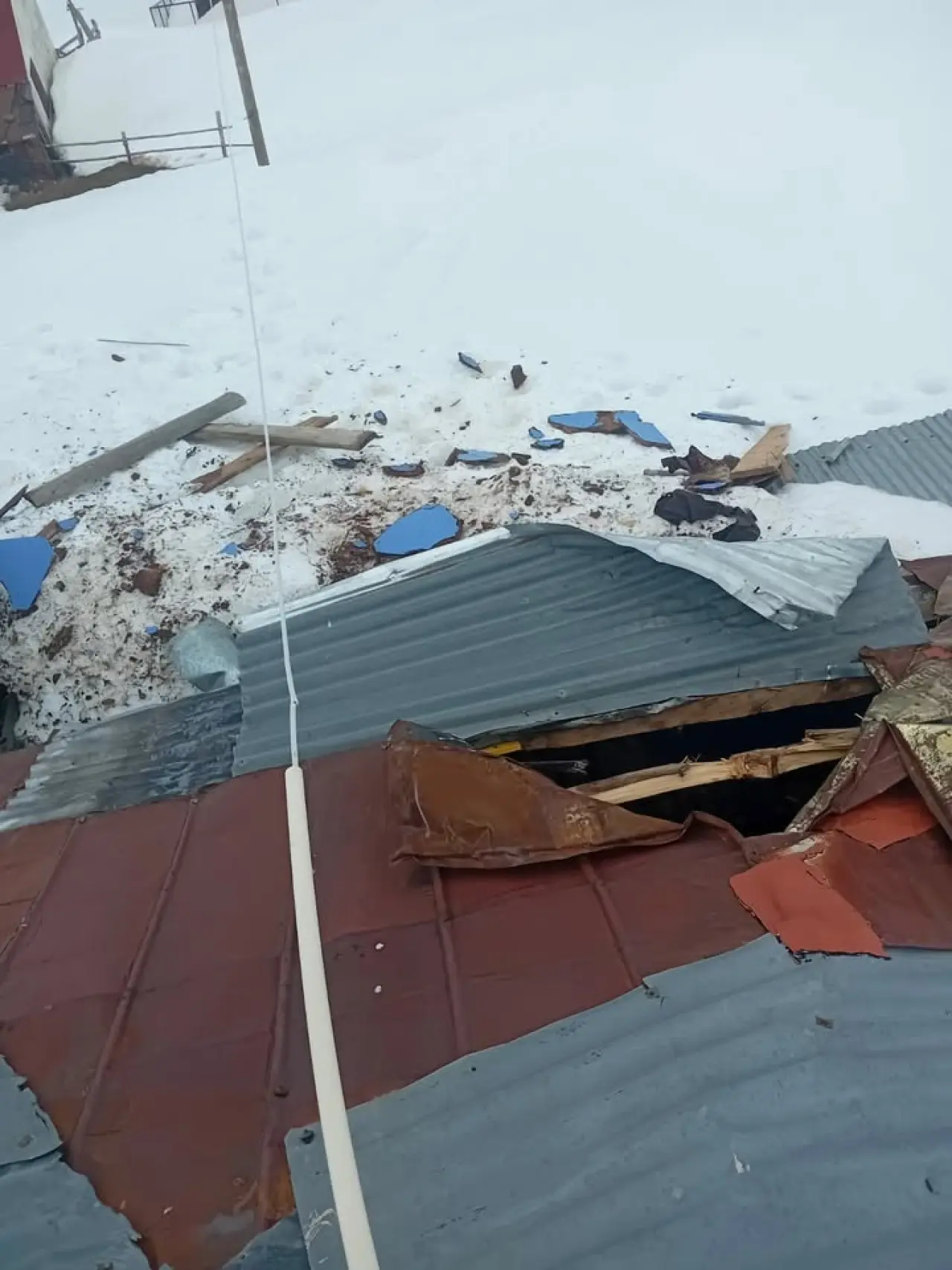 Gümüşhane yaylarında ayı dehşeti devam ediyor 2