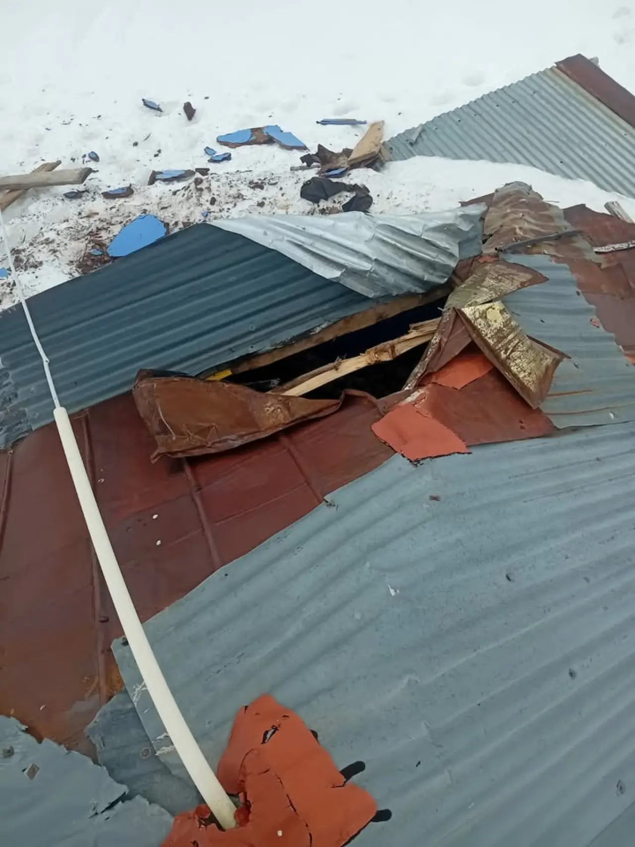 Gümüşhane yaylarında ayı dehşeti devam ediyor 6