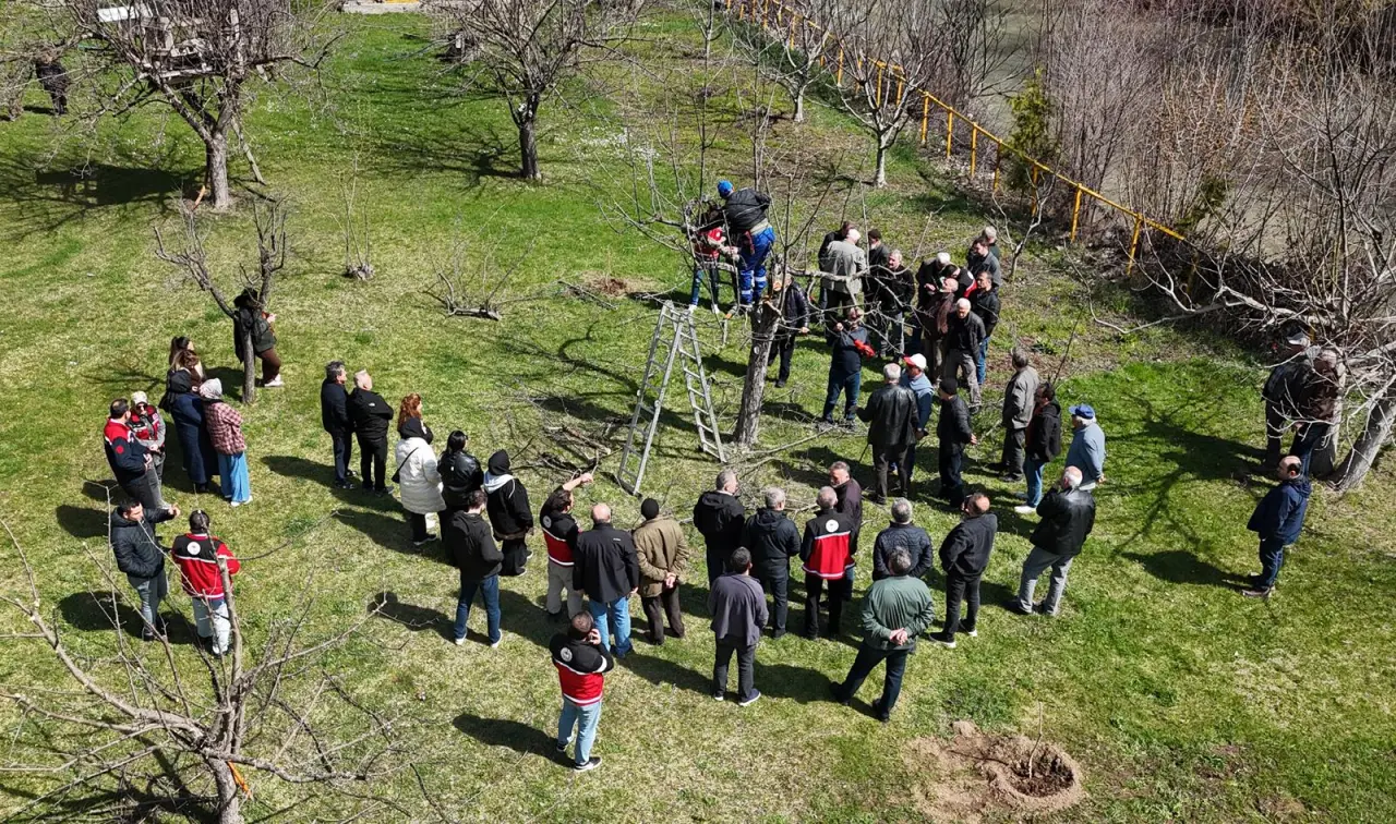 Gümüşhane’de meyve üreticilerine profesyonel budama eğitimi verildi 1