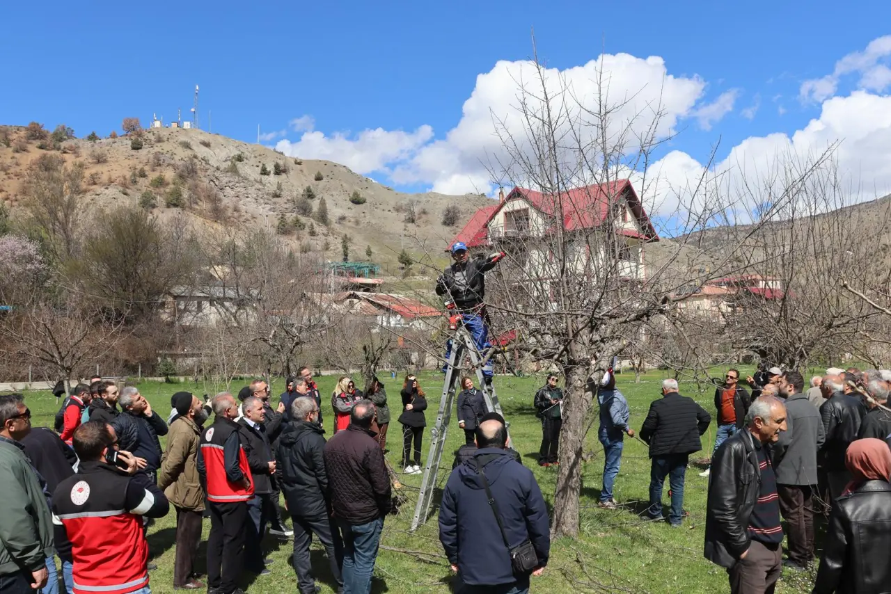 Gümüşhane’de meyve üreticilerine profesyonel budama eğitimi verildi 2