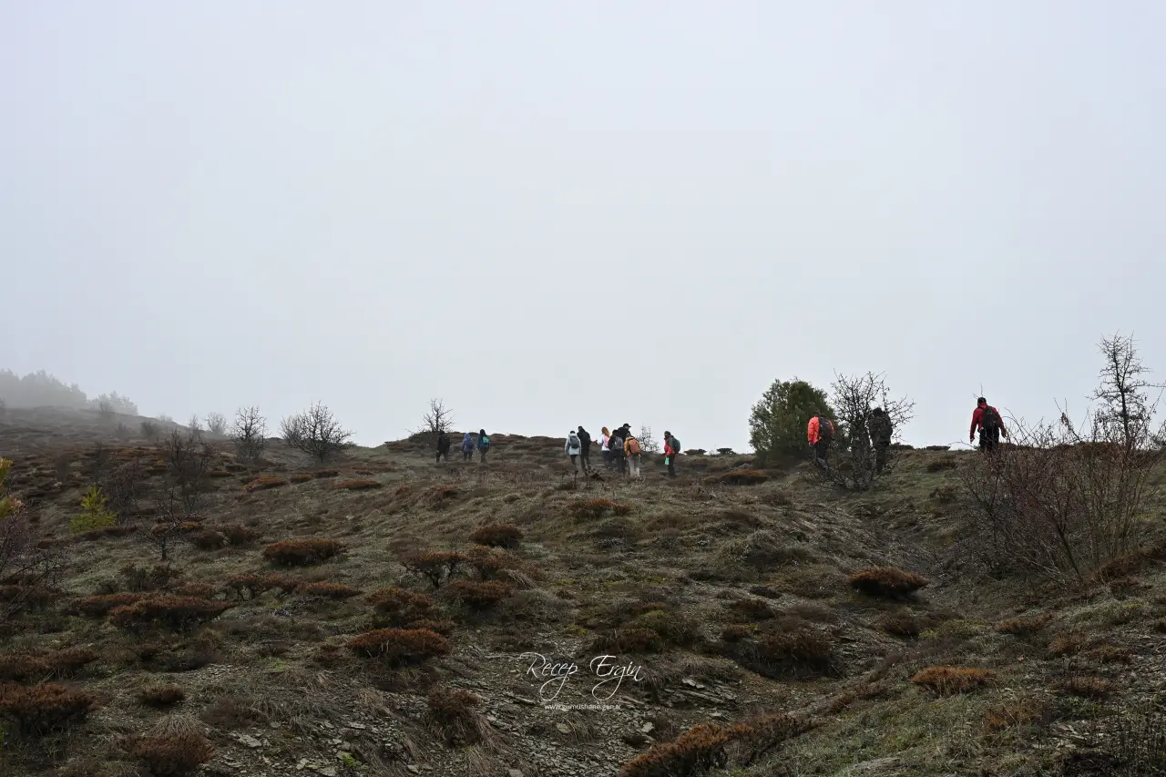 Gümüşhane’nin saklı hazinesi "Eski Mardin" görünümüyle büyülüyor! 4
