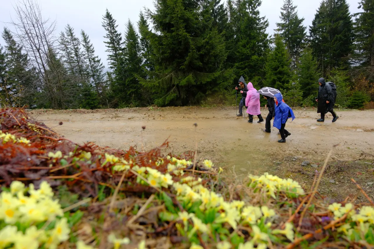 Sisler Altında 11 Kilometrelik Vefa Rotası: Gümüşhaneli dağcılar Tohtamur Yaylasında 8