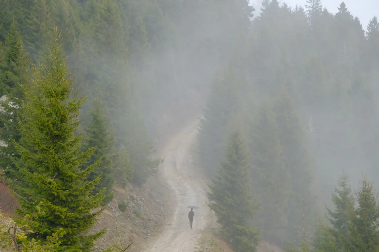 Sisler Altında 11 Kilometrelik Vefa Rotası: Gümüşhaneli dağcılar Tohtamur Yaylasında 17