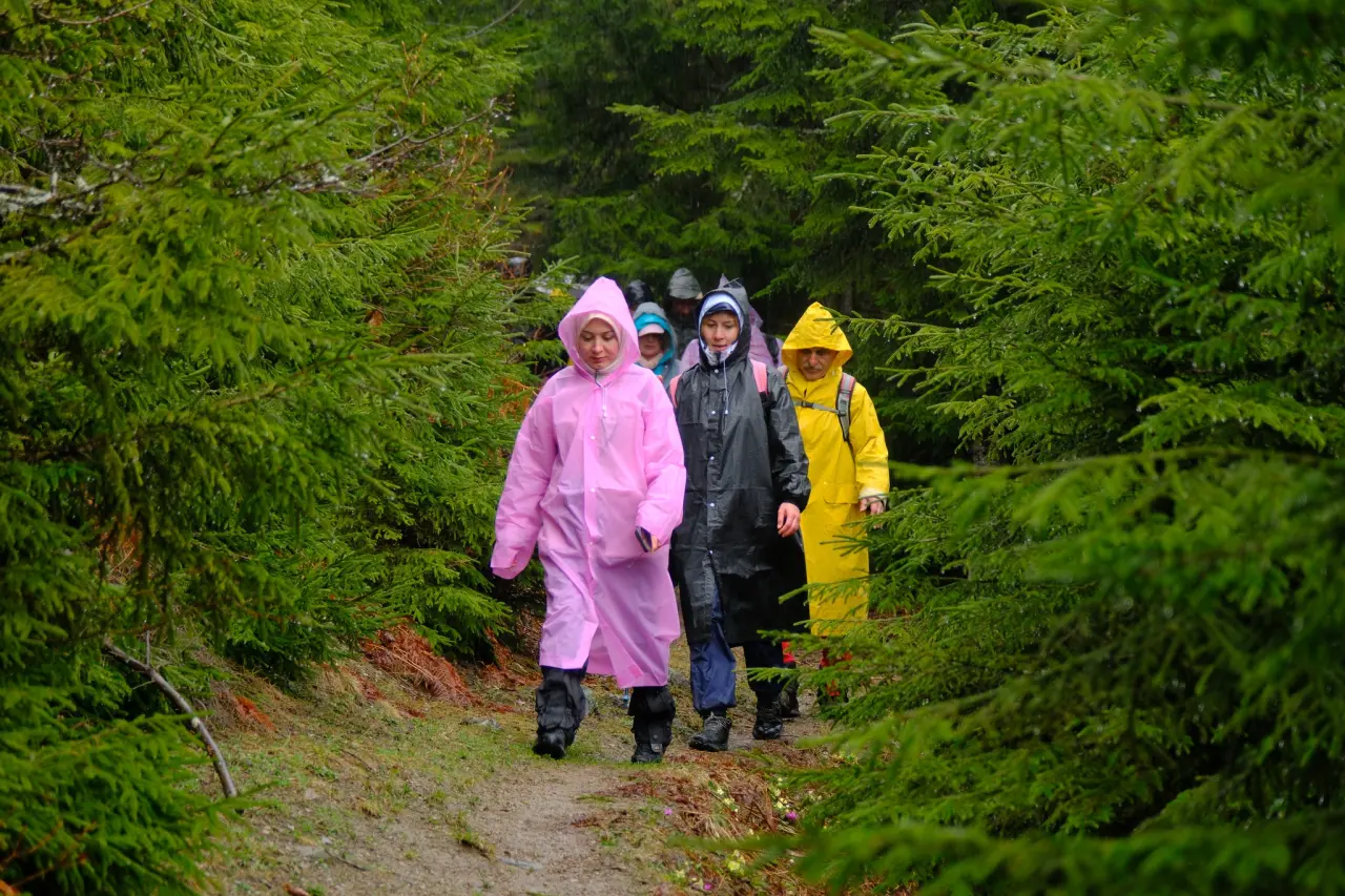 Sisler Altında 11 Kilometrelik Vefa Rotası: Gümüşhaneli dağcılar Tohtamur Yaylasında 14