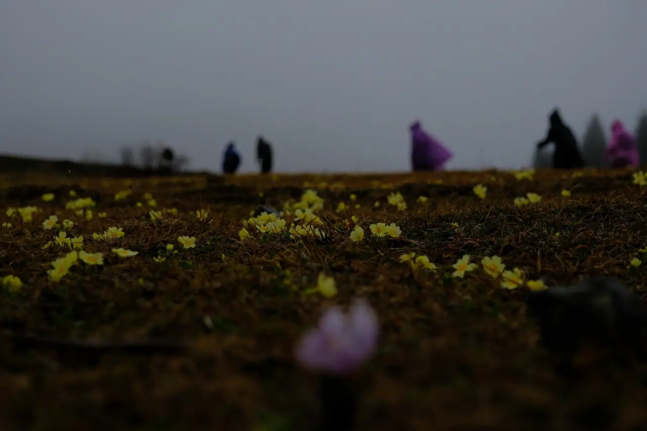 Sisler Altında 11 Kilometrelik Vefa Rotası: Gümüşhaneli dağcılar Tohtamur Yaylasında 2