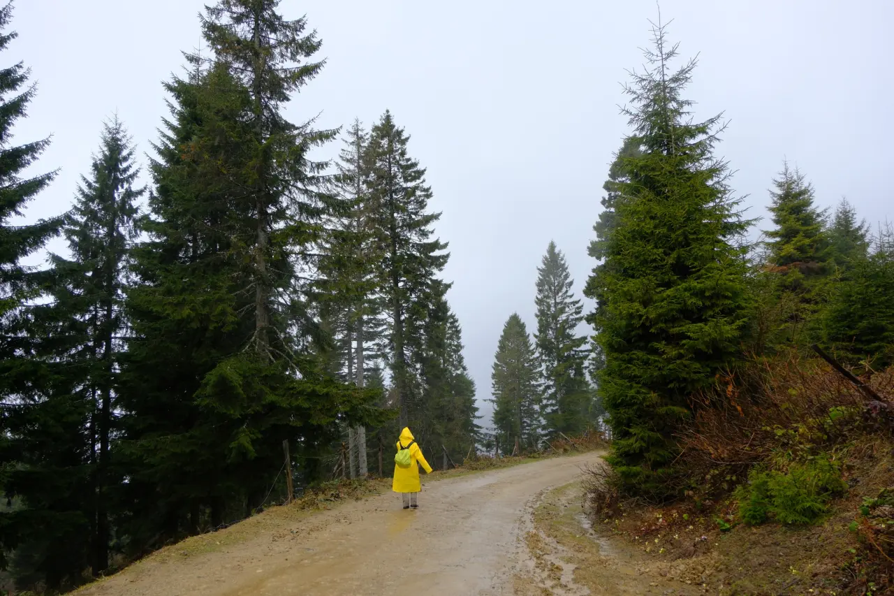 Sisler Altında 11 Kilometrelik Vefa Rotası: Gümüşhaneli dağcılar Tohtamur Yaylasında 1