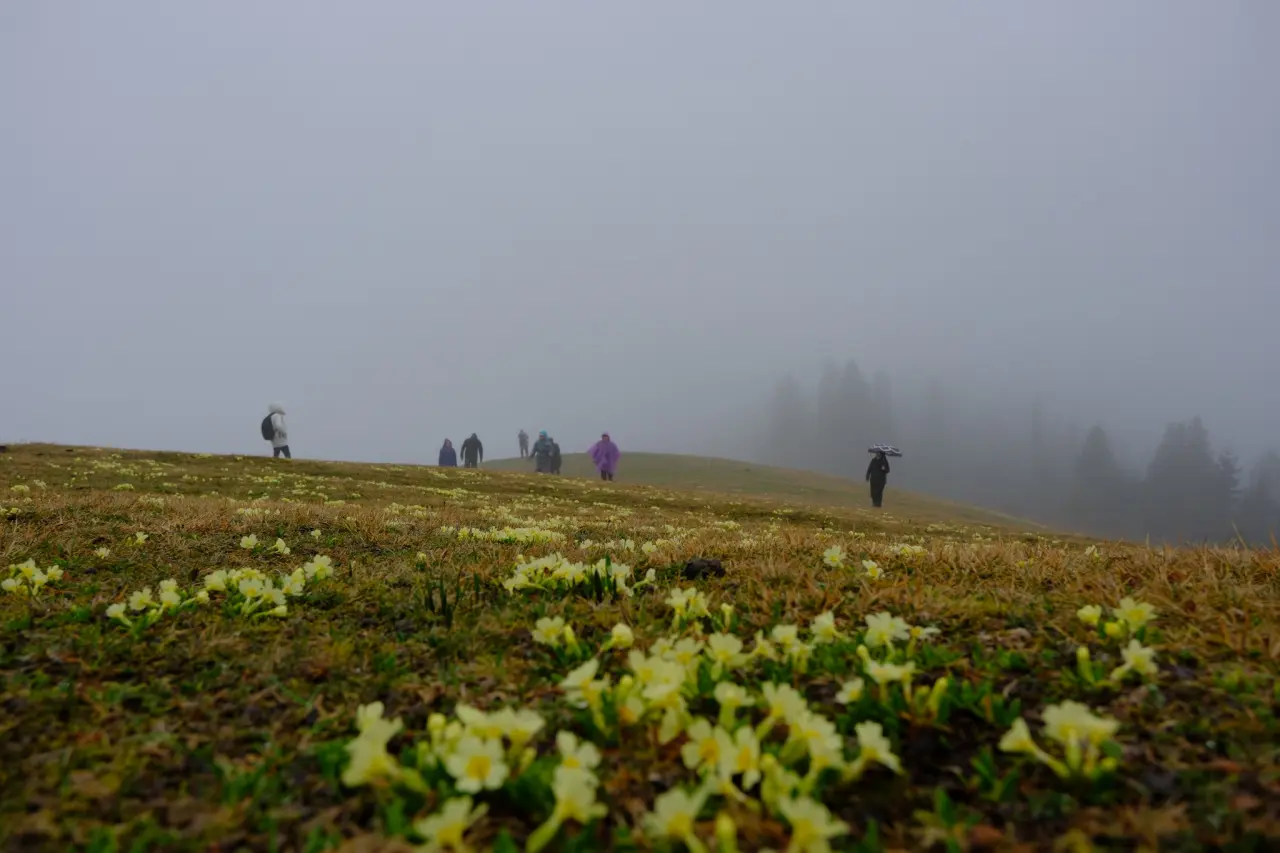 Sisler Altında 11 Kilometrelik Vefa Rotası: Gümüşhaneli dağcılar Tohtamur Yaylasında 13