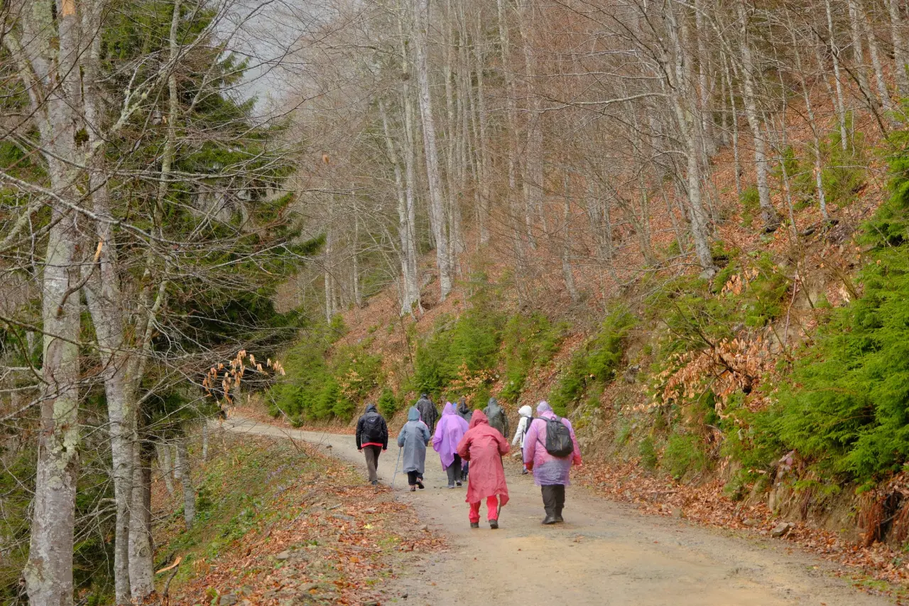 Sisler Altında 11 Kilometrelik Vefa Rotası: Gümüşhaneli dağcılar Tohtamur Yaylasında 9
