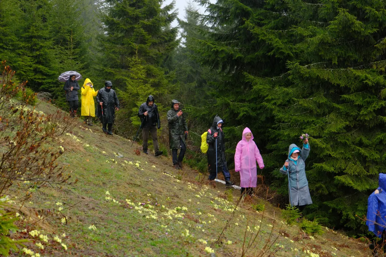 Sisler Altında 11 Kilometrelik Vefa Rotası: Gümüşhaneli dağcılar Tohtamur Yaylasında 5