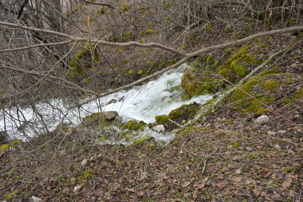 Torul'un Gizemli Su Kaynakları: Gülaçar Köyü’nde Mevsimsel Doğa Olayı 26