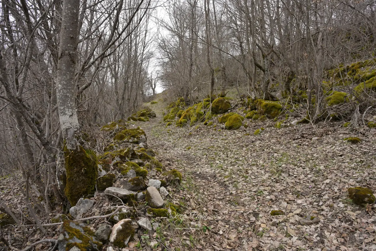 Torul'un Gizemli Su Kaynakları: Gülaçar Köyü’nde Mevsimsel Doğa Olayı 19