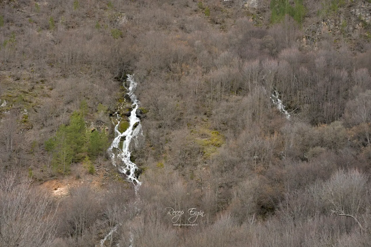 Torul'un Gizemli Su Kaynakları: Gülaçar Köyü’nde Mevsimsel Doğa Olayı 6