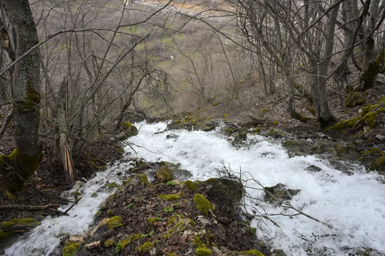 Torul'un Gizemli Su Kaynakları: Gülaçar Köyü’nde Mevsimsel Doğa Olayı 28