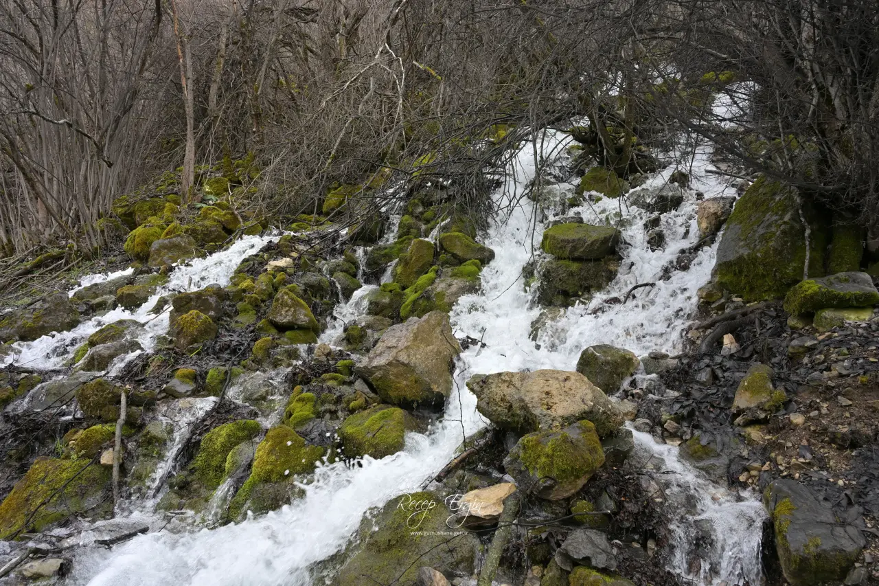 Torul'un Gizemli Su Kaynakları: Gülaçar Köyü’nde Mevsimsel Doğa Olayı 21