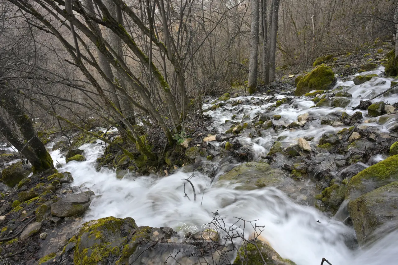 Torul'un Gizemli Su Kaynakları: Gülaçar Köyü’nde Mevsimsel Doğa Olayı 23