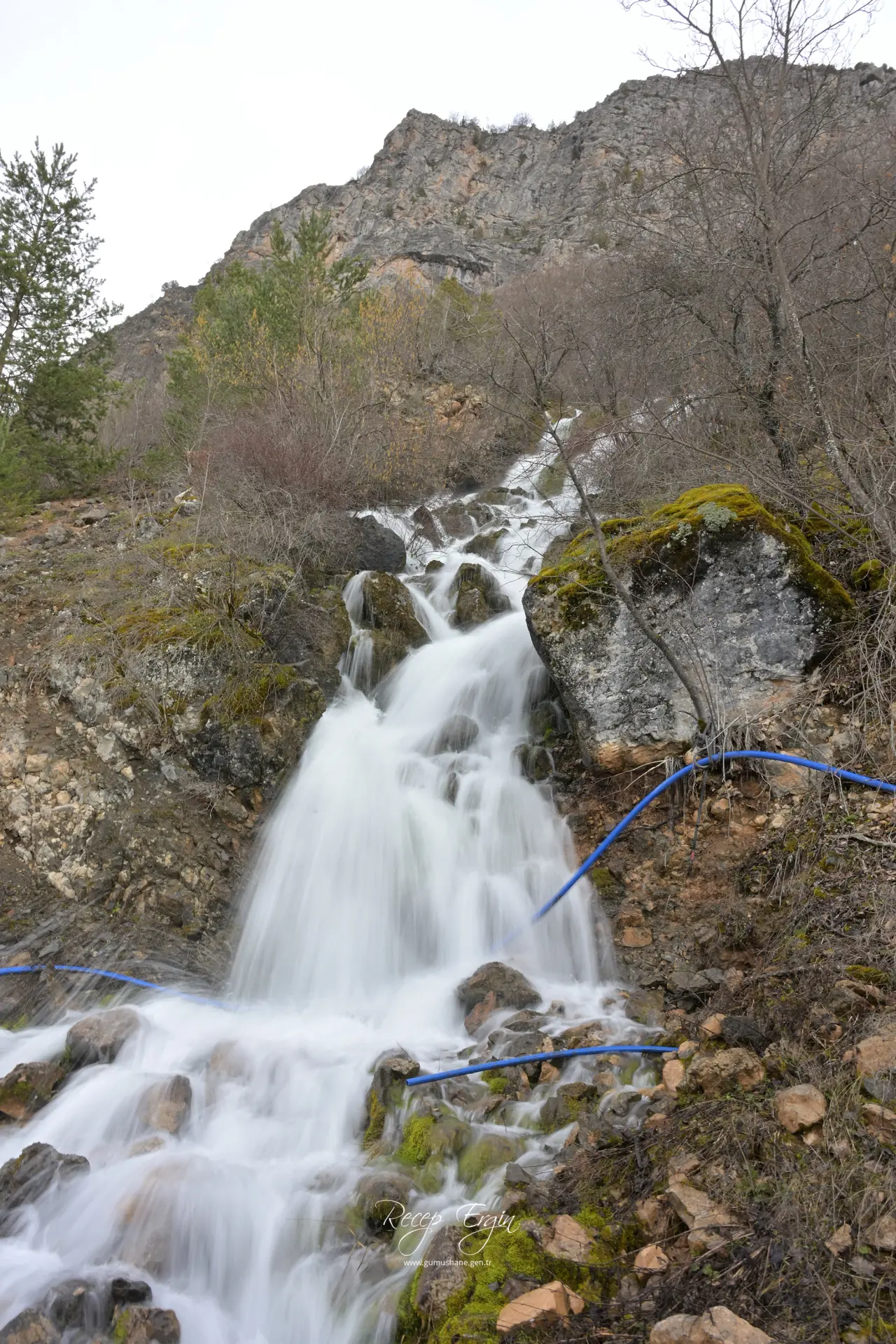 Torul'un Gizemli Su Kaynakları: Gülaçar Köyü’nde Mevsimsel Doğa Olayı 24