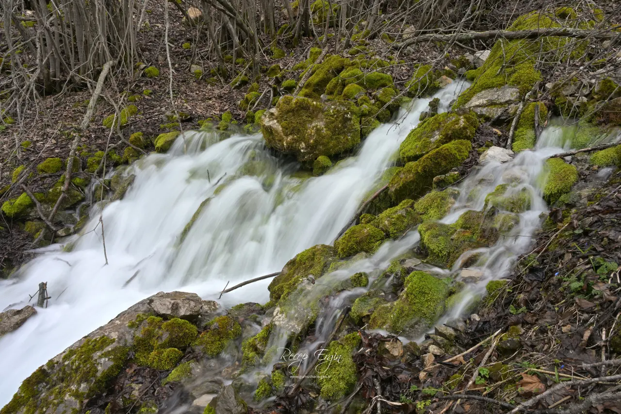 Torul'un Gizemli Su Kaynakları: Gülaçar Köyü’nde Mevsimsel Doğa Olayı 15