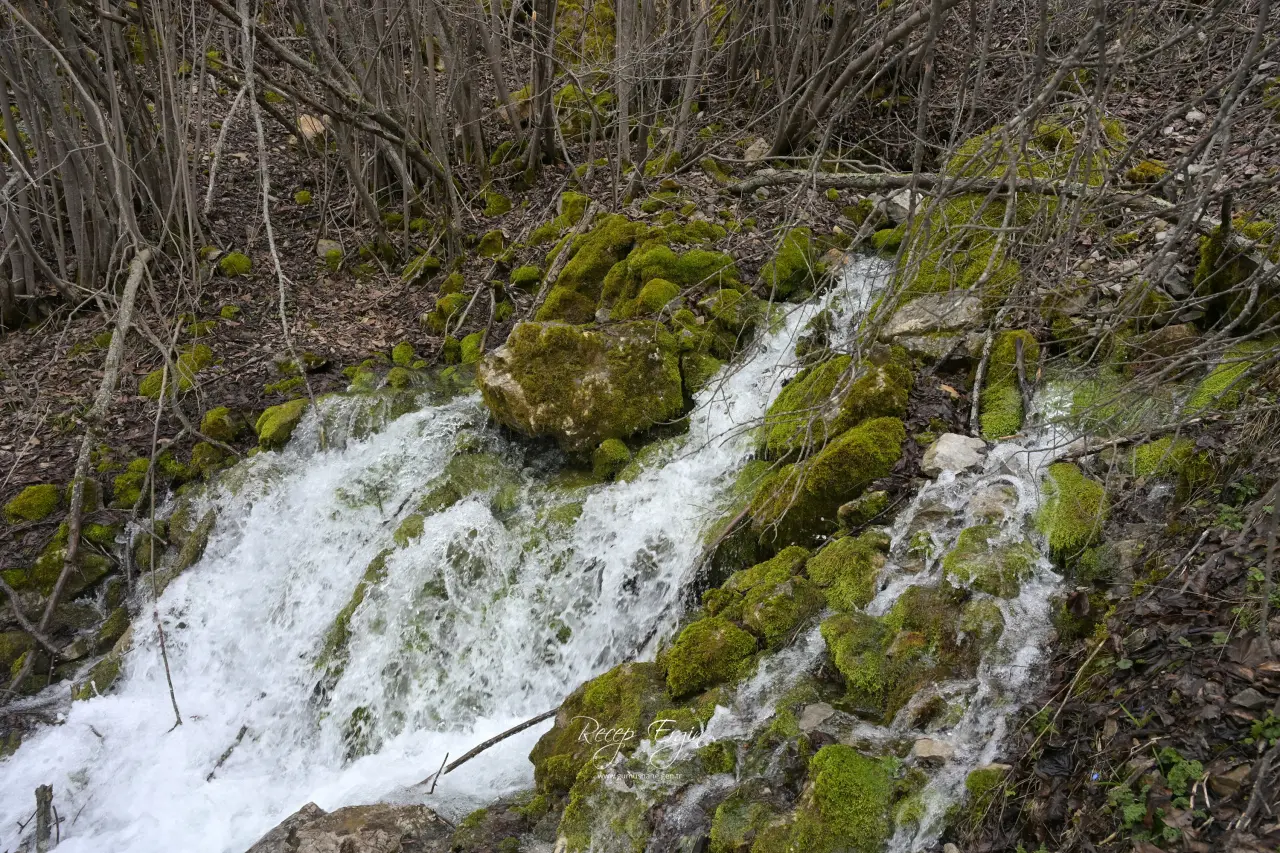 Torul'un Gizemli Su Kaynakları: Gülaçar Köyü’nde Mevsimsel Doğa Olayı 27