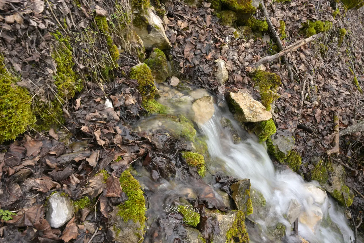 Torul'un Gizemli Su Kaynakları: Gülaçar Köyü’nde Mevsimsel Doğa Olayı 29