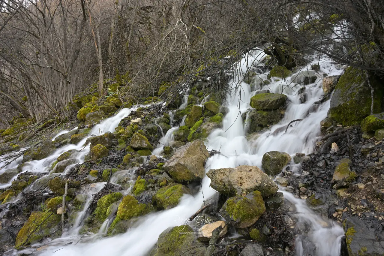 Torul'un Gizemli Su Kaynakları: Gülaçar Köyü’nde Mevsimsel Doğa Olayı 13