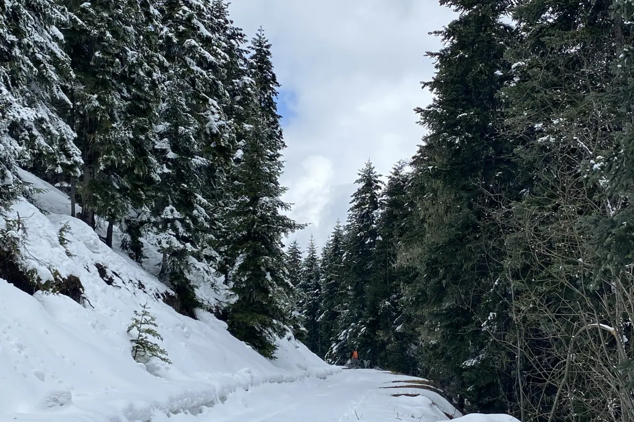 Zigana’da kışı ve baharı bir arada yaşadılar 5