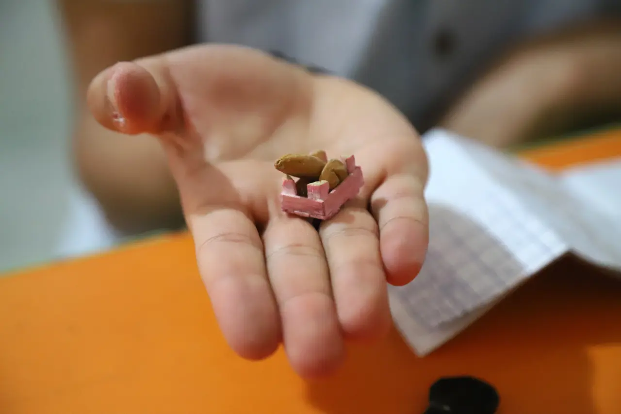 14 yaşında atık malzemeleri minyatür sanatına dönüştürüyor 2