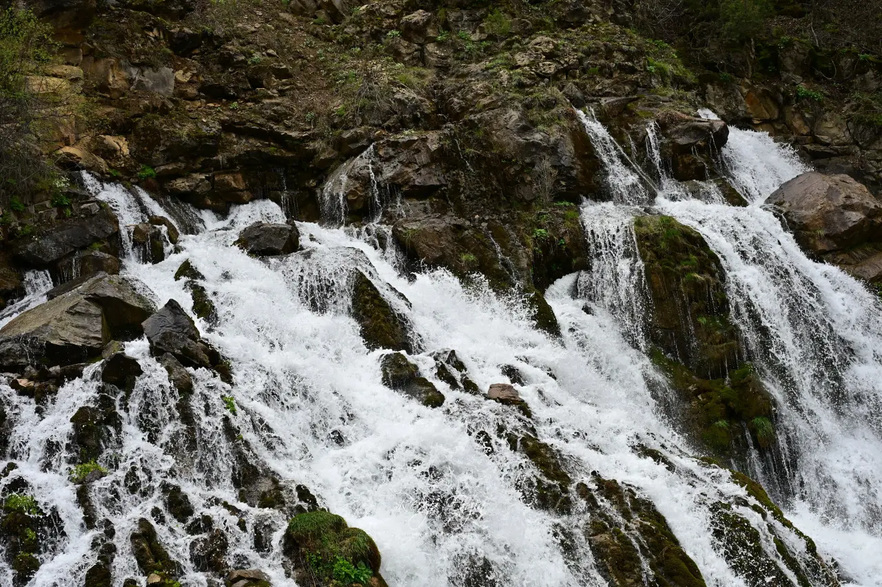 GÜDAK’tan Şiran çıkarması: Göller, çiçekler ve yağmur altında yürüyüş 29