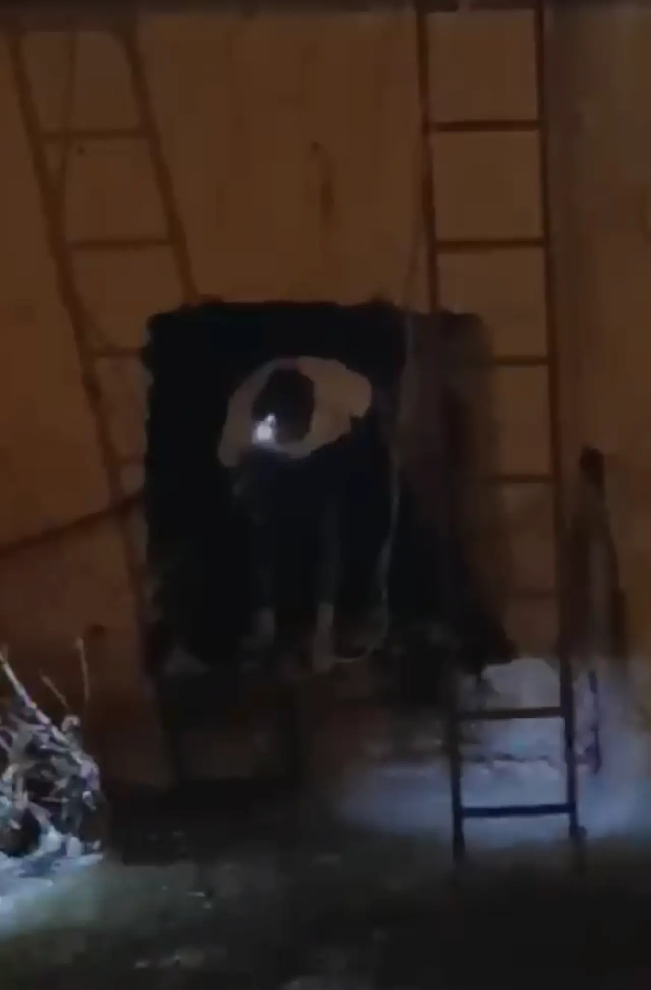 Gümüşhane'de Dere Yatağına Düşen Anne Kedi İçin Seferberlik 4