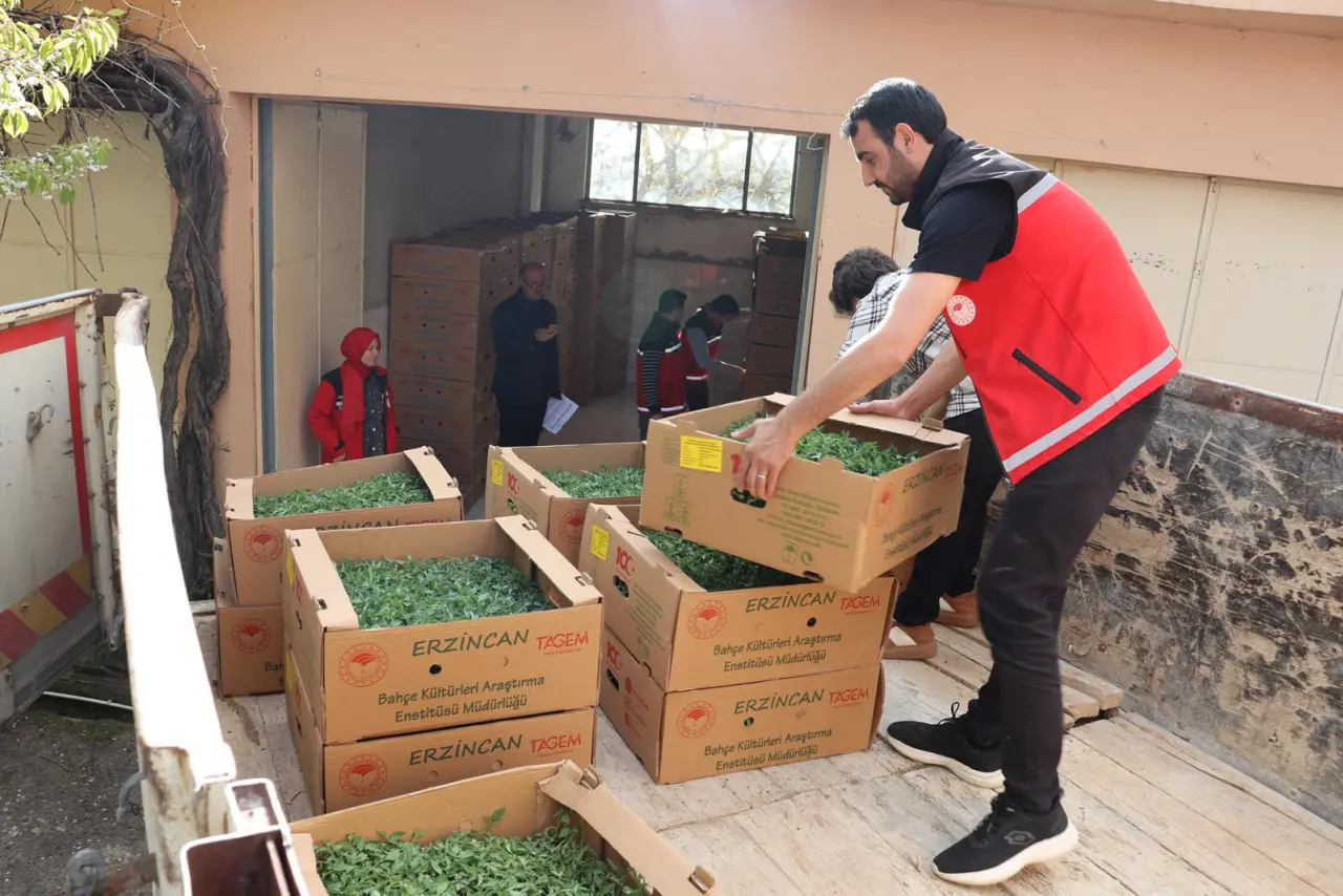 Gümüşhaneli çiftçiye yüzde 50 hibeli 200 bin fide 2