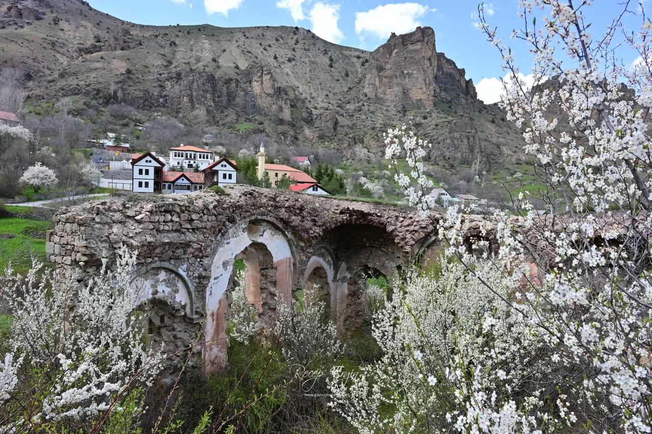 Gümüşhane’nin "Eski Şehri" Süleymaniye baharın renklerine teslim oldu 37