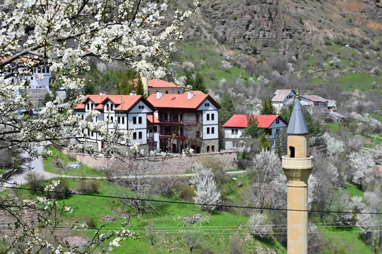 Gümüşhane’nin "Eski Şehri" Süleymaniye baharın renklerine teslim oldu 8