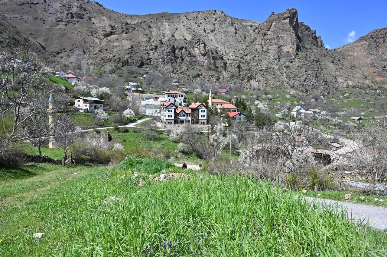 Gümüşhane’nin "Eski Şehri" Süleymaniye baharın renklerine teslim oldu 6