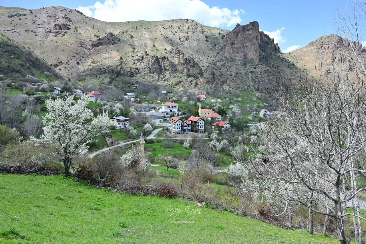 Gümüşhane’nin "Eski Şehri" Süleymaniye baharın renklerine teslim oldu 36