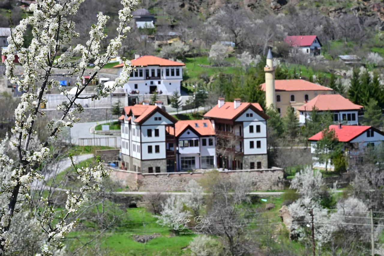 Gümüşhane’nin "Eski Şehri" Süleymaniye baharın renklerine teslim oldu 32