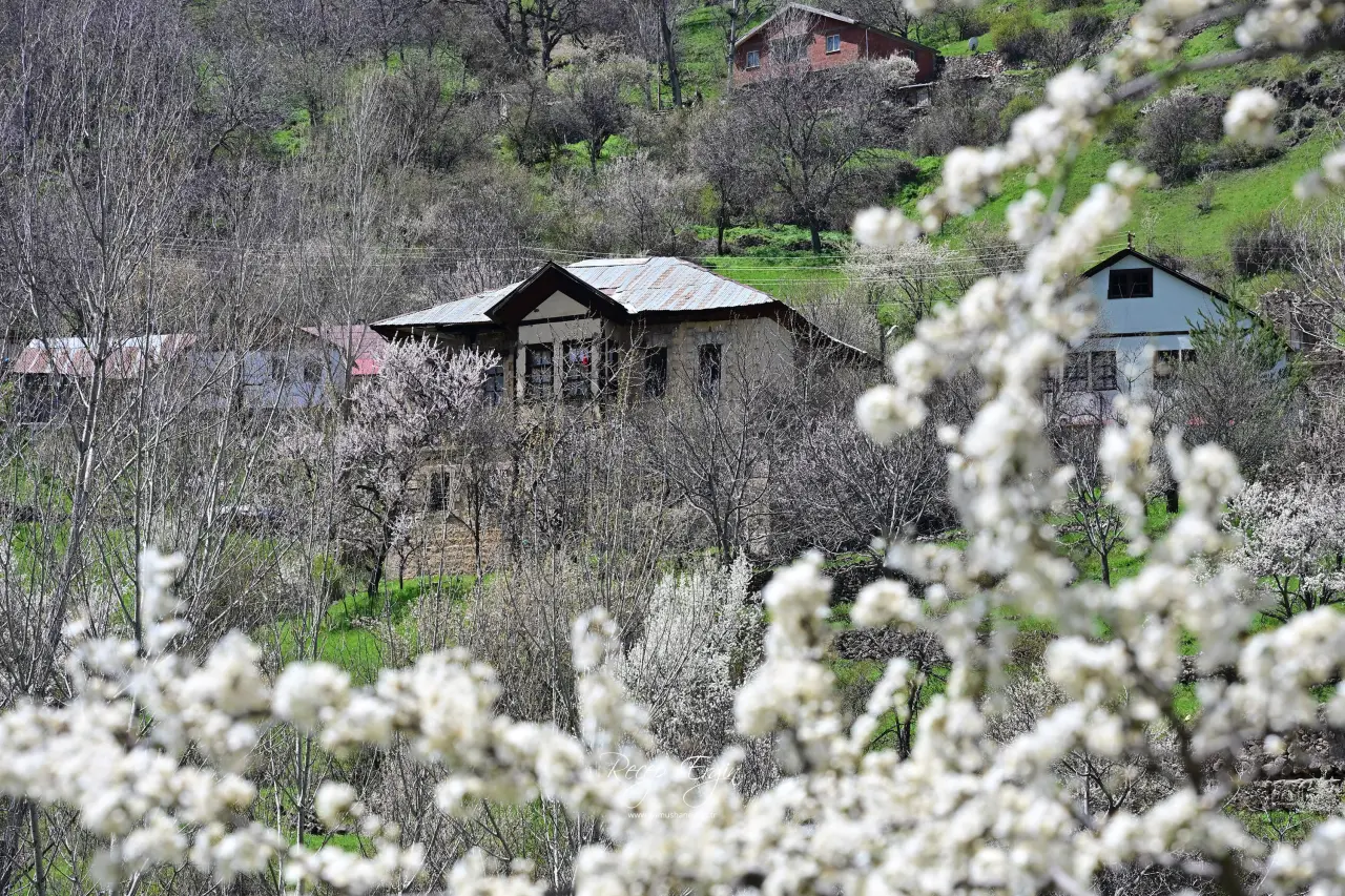 Gümüşhane’nin "Eski Şehri" Süleymaniye baharın renklerine teslim oldu 30