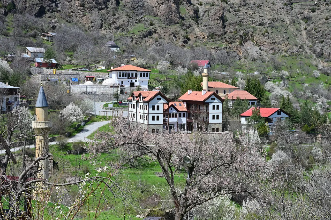 Gümüşhane’nin "Eski Şehri" Süleymaniye baharın renklerine teslim oldu 27