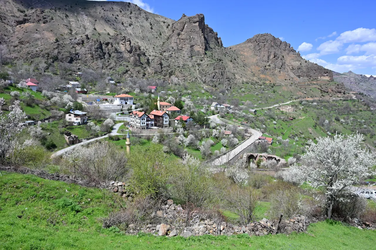 Gümüşhane’nin "Eski Şehri" Süleymaniye baharın renklerine teslim oldu 9