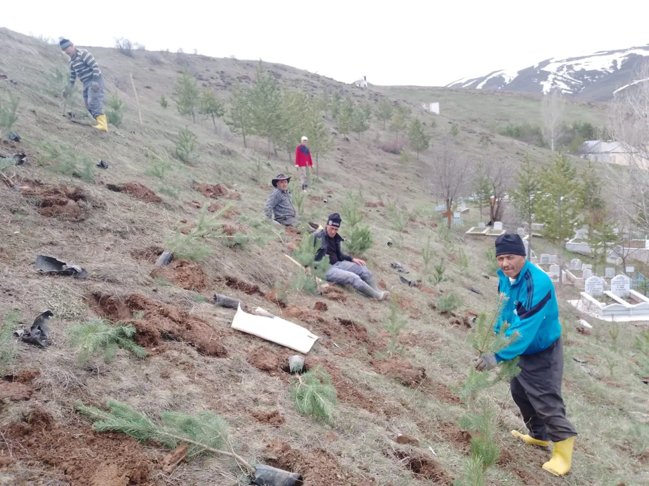 Gurbetten Sıla’ya Yeşil Köprü: Kocayokuş Köyü’nde Binlerce Fidan Toprakla Buluştu! 3
