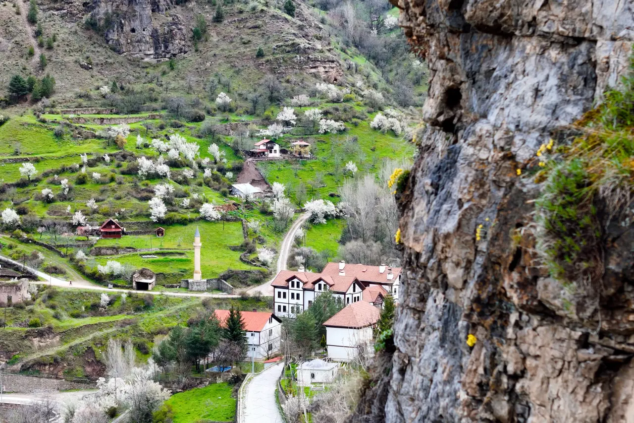 Kayaların göbeğinden altın gibi fışkırıyor: Görenler gözlerine inanamadı! 24