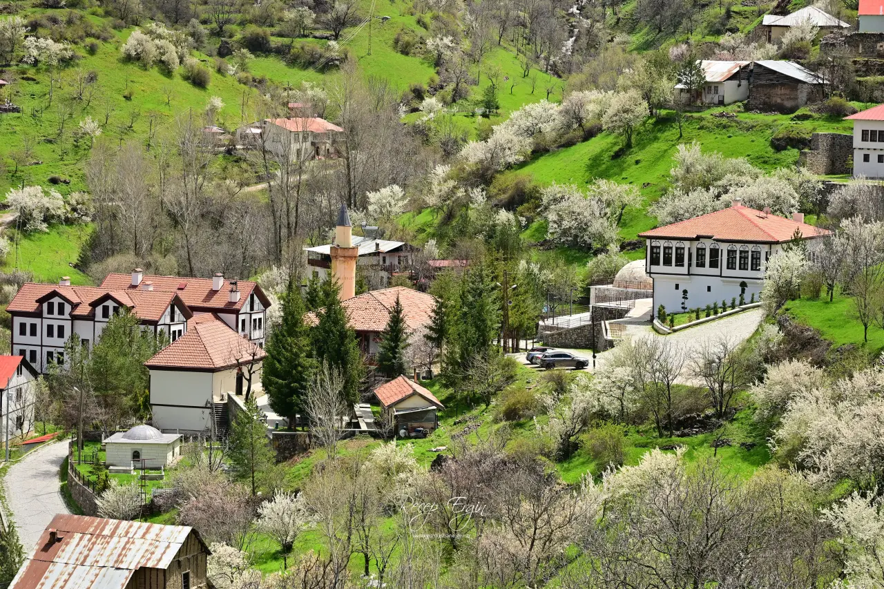Kayaların göbeğinden altın gibi fışkırıyor: Görenler gözlerine inanamadı! 21